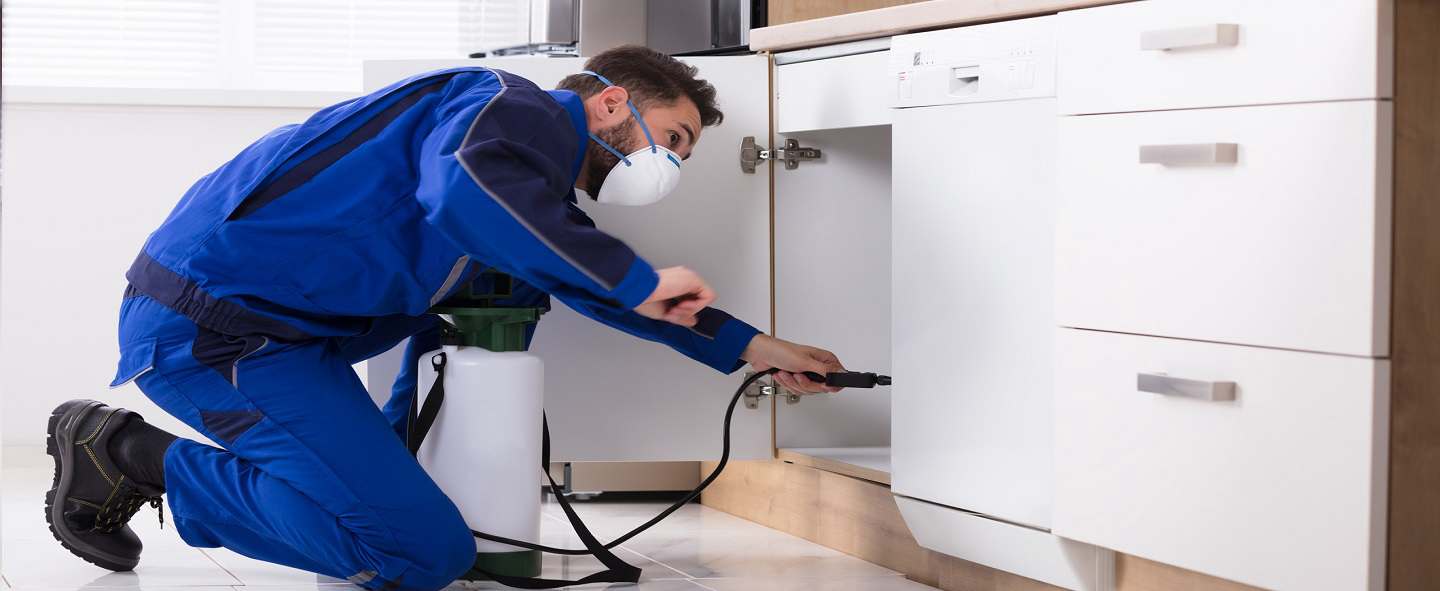 Técnico realizando dedetização de traças